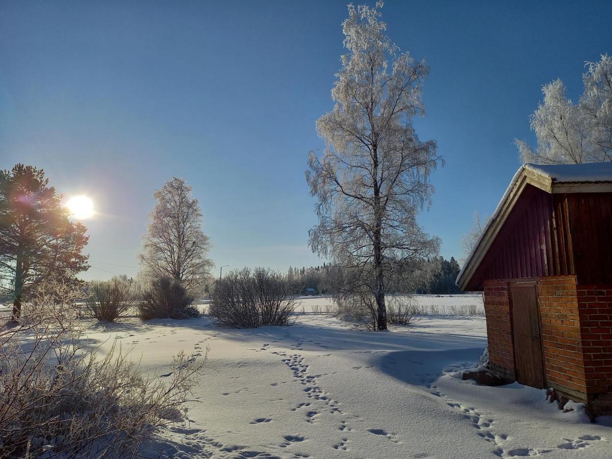 Opintola Bed & Breakfast Norinkylä Zewnętrze zdjęcie