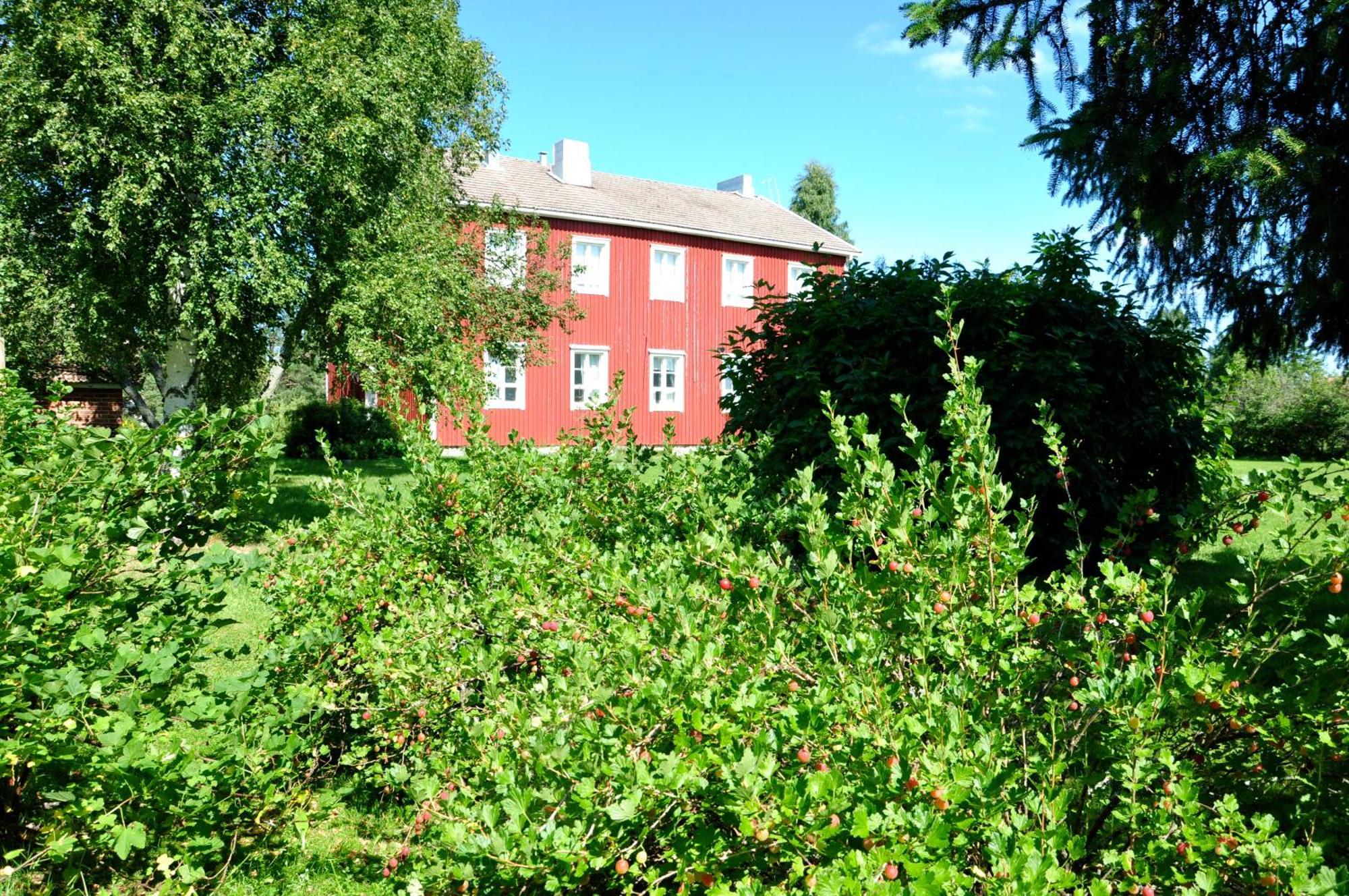 Opintola Bed & Breakfast Norinkylä Zewnętrze zdjęcie